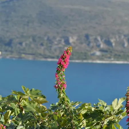 Akrolithi Boutique &