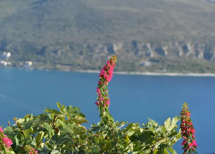 Akrolithi Boutique &